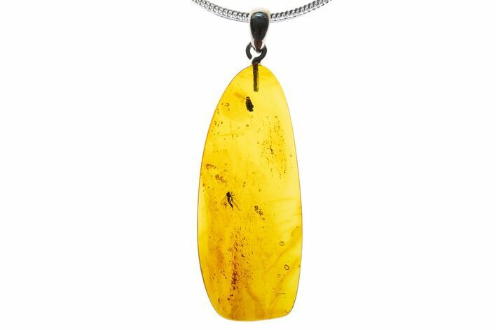 Polished Baltic Amber Pendant (Necklace) - Contains Fly! #339461